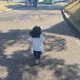 安城産業文化公園デンパークに投稿された画像（2023/4/2）