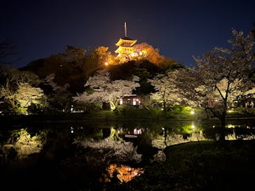 三溪園に投稿された画像（2023/4/2）