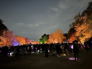 NAKED 桜の新宿御苑 2023に投稿された画像（2023/4/2）