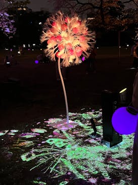 NAKED 桜の新宿御苑 2023に投稿された画像（2023/4/2）