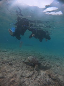 宮古島 ADVENTURE PiPi（ミヤコジマ アドベンチャー ピピ）に投稿された画像（2023/4/2）