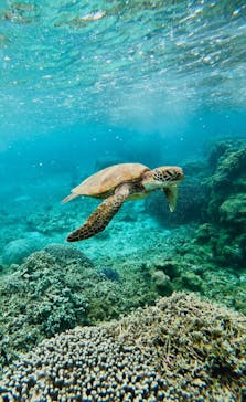 宮古島 ADVENTURE PiPi（ミヤコジマ アドベンチャー ピピ）に投稿された画像（2023/4/2）