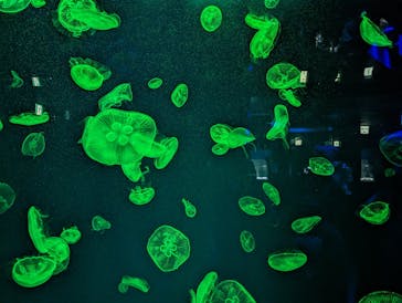 名古屋港水族館に投稿された画像（2023/4/2）