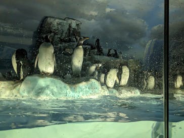 名古屋港水族館に投稿された画像（2023/4/2）