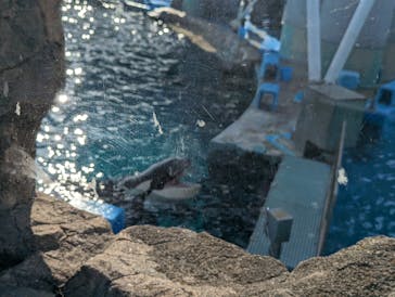 名古屋港水族館に投稿された画像（2023/4/2）