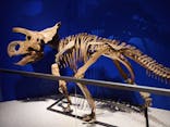 特別展「恐竜博2023」に投稿された画像（2023/4/2）
