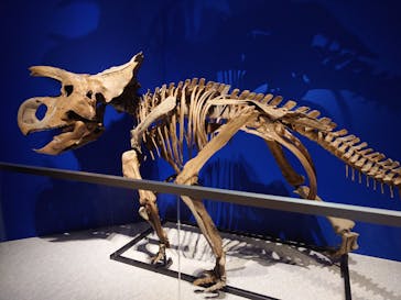 特別展「恐竜博2023」に投稿された画像（2023/4/2）