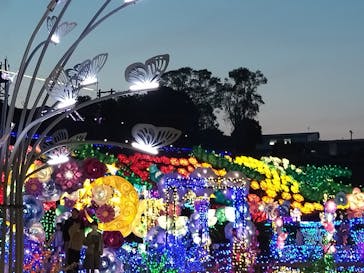 伊豆ぐらんぱる公園に投稿された画像（2023/4/2）