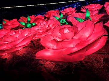 伊豆ぐらんぱる公園に投稿された画像（2023/4/2）