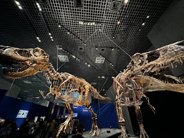 特別展「恐竜博2023」に投稿された画像（2023/4/2）