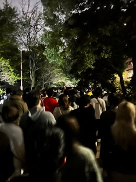 NAKED 桜の新宿御苑 2023に投稿された画像（2023/4/2）