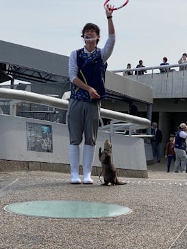 大分マリーンパレス水族館 「うみたまご」に投稿された画像（2023/4/2）