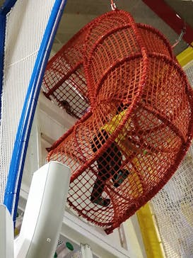 おやつタウンに投稿された画像（2023/4/2）