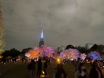 NAKED 桜の新宿御苑 2023に投稿された画像（2023/4/2）