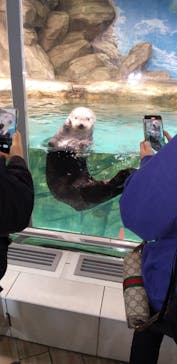 マリンワールド海の中道に投稿された画像（2023/4/2）