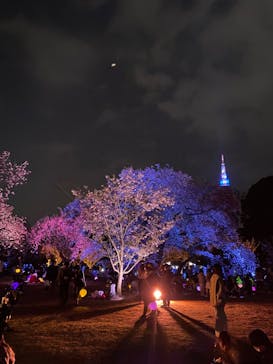 NAKED 桜の新宿御苑 2023に投稿された画像（2023/4/2）