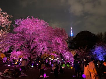 NAKED 桜の新宿御苑 2023に投稿された画像（2023/4/2）