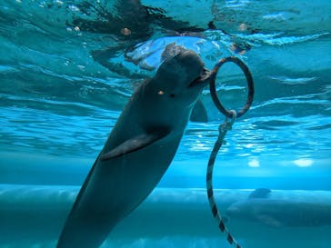 マリンワールド海の中道に投稿された画像（2023/4/2）