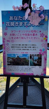 福岡タワーに投稿された画像（2023/4/2）