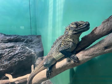 サンシャイン水族館に投稿された画像（2023/4/2）