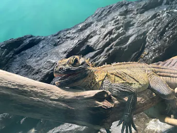 サンシャイン水族館に投稿された画像（2023/4/2）