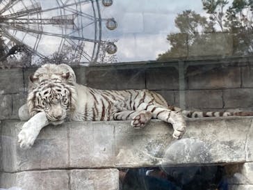 東武動物公園に投稿された画像（2023/4/2）