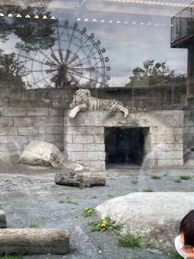 東武動物公園に投稿された画像（2023/4/2）