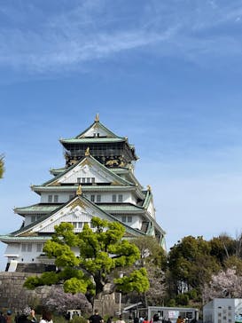 大阪城天守閣に投稿された画像（2023/4/2）
