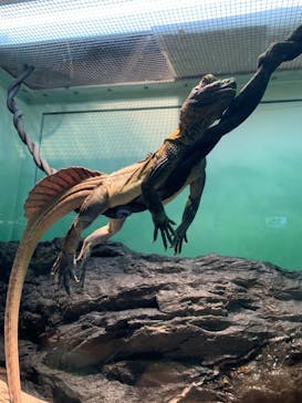 サンシャイン水族館に投稿された画像（2023/4/2）