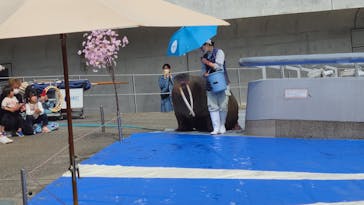 大分マリーンパレス水族館 「うみたまご」に投稿された画像（2023/4/2）