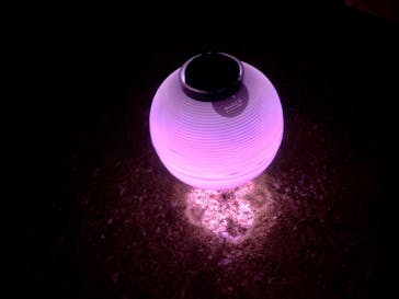 NAKED 桜の新宿御苑 2023に投稿された画像（2023/4/2）