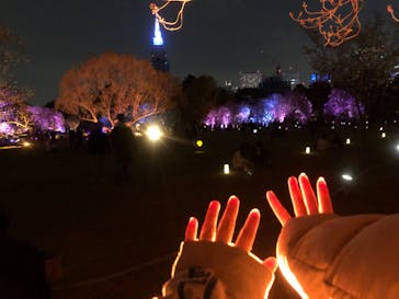 NAKED 桜の新宿御苑 2023に投稿された画像（2023/4/2）