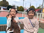 IPCわんわん動物園に投稿された画像（2023/4/2）