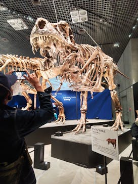 特別展「恐竜博2023」に投稿された画像（2023/4/2）