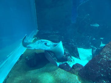 マリンワールド海の中道に投稿された画像（2023/4/2）