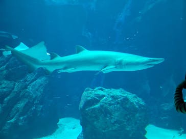 マリンワールド海の中道に投稿された画像（2023/4/2）