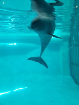 マリンワールド海の中道に投稿された画像（2023/4/2）