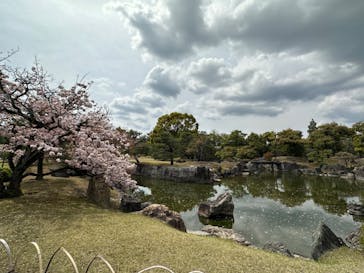 元離宮二条城に投稿された画像（2023/4/2）