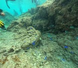 DIVING-SHOP SUNSに投稿された画像（2023/4/2）