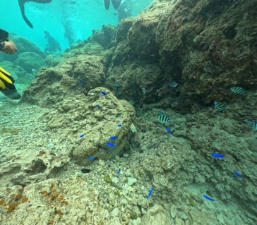 DIVING-SHOP SUNSに投稿された画像（2023/4/2）