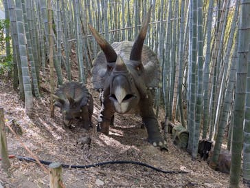 みろくの里に投稿された画像（2023/4/2）