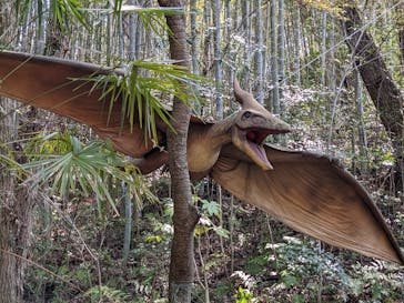 みろくの里に投稿された画像（2023/4/2）