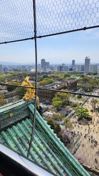 大阪城天守閣に投稿された画像（2023/4/2）