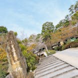 上方温泉 一休 京都本館に投稿された画像（2023/4/2）