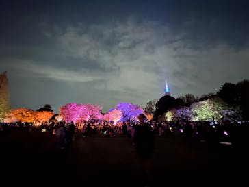 NAKED 桜の新宿御苑 2023に投稿された画像（2023/4/2）