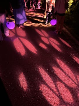 NAKED 桜の新宿御苑 2023に投稿された画像（2023/4/2）