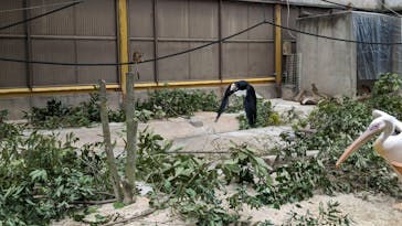 東武動物公園に投稿された画像（2023/4/2）