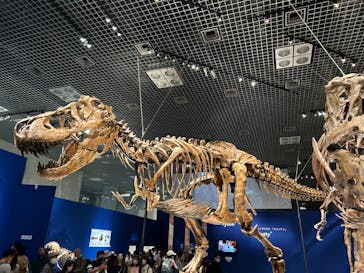 特別展「恐竜博2023」に投稿された画像（2023/4/2）