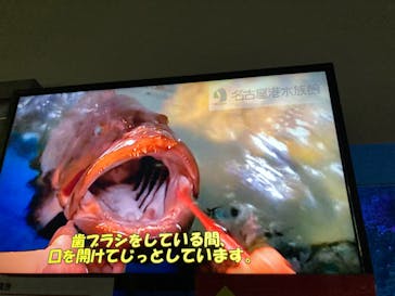 名古屋港水族館に投稿された画像（2023/4/2）