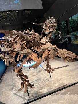 特別展「恐竜博2023」に投稿された画像（2023/4/2）